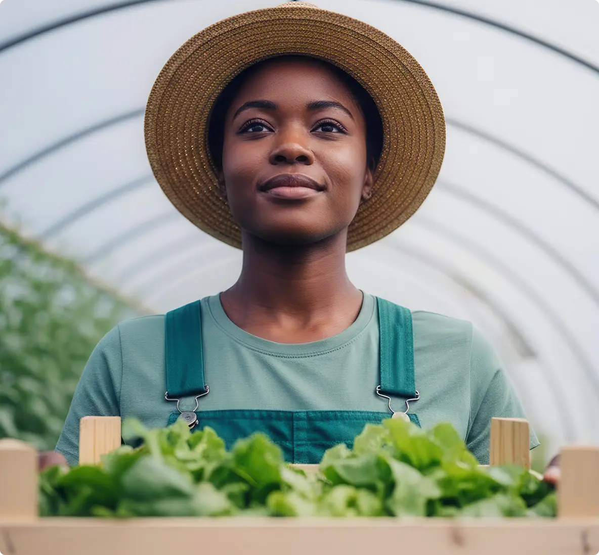 Invista no crescimento do seu negócio rural image